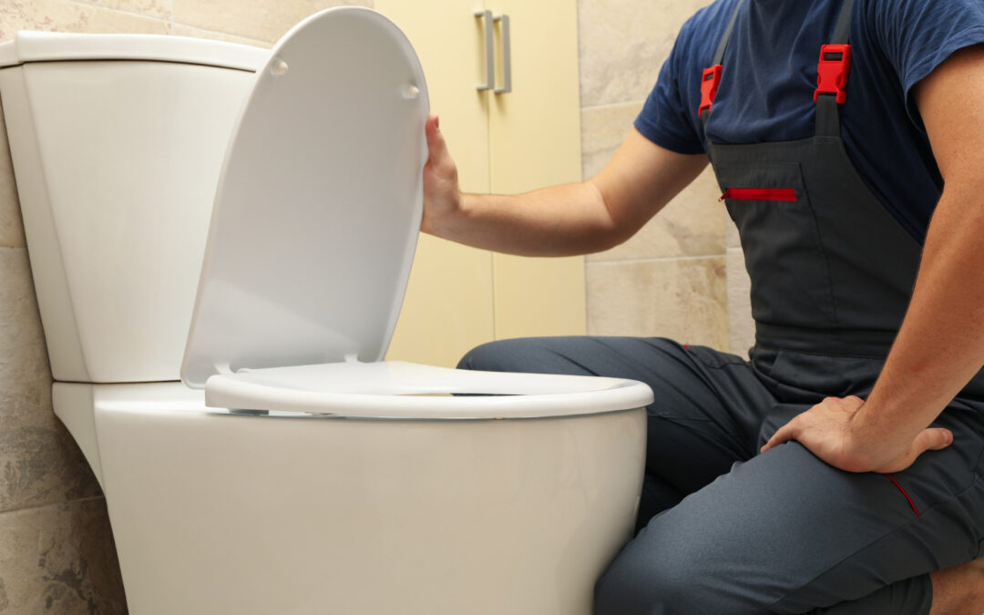 Replacing A Toilet Seat | Complete Guide